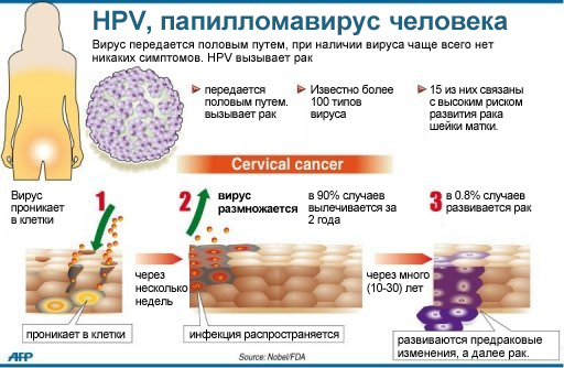 hpv, папилломавирус человека
