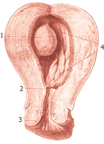 дивандеки на угловой диван своими руками фото