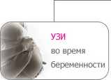 УЗИ при беременности