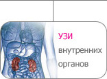 УЗИ внутренних органов