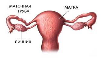 Спазм маточных труб 20