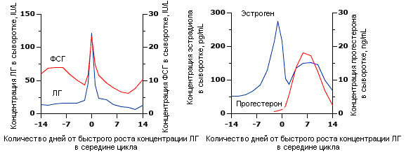 Рис.1. Гормональные изменения в ходе нормального менструального цикла