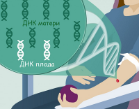 Неинвазивный пренатальный тест (НИПТ) дает возможность обнаружить рак у матери