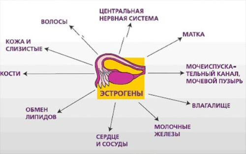 Климакс у женщины симптомы терапия препараты