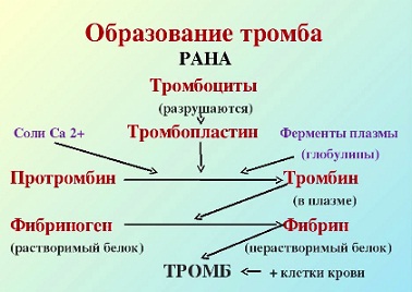 Доклад: Невынашивание беременности