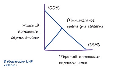 Потенциал фертильности.jpg