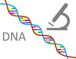 dna-1020670_1280.png