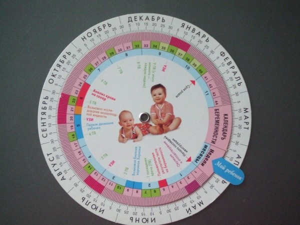 акушерский календарь беременности