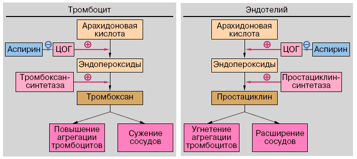 риск6.png