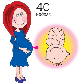 Норма веса в 32 недели беременности